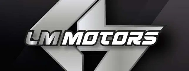 LM Motors